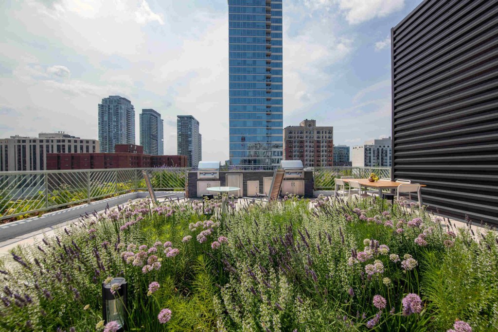sundeck view the clark apartments in chicago